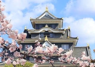 El castillo de Okayama en primavera