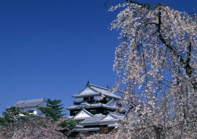 Castillo de Matsuyama