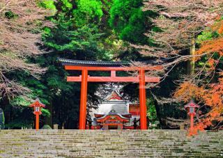La puerta torii del santuario Kirishima Jingu