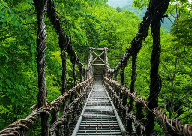 Uno de los tres puentes de lianas que quedan