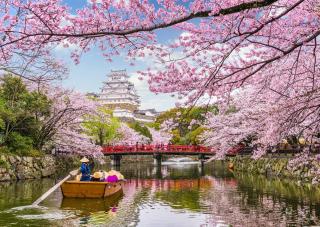 Excursión en barco por el Castillo de Himeji durante la floración de los cerezos