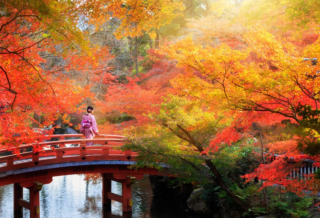 El otoño en Japón