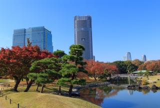 Jardín Hamarikyu (Tokyo)