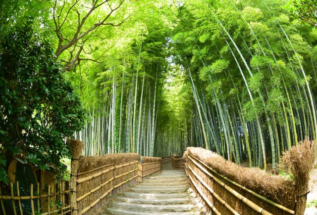 Santuario Fushimi Inari (Kioto)