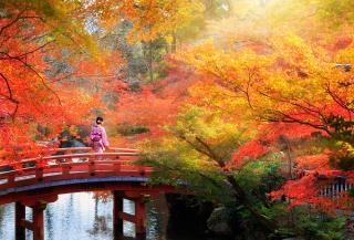 Japón en otoño