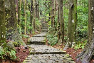 Peregrinación Kumano Kodo