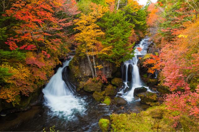 Cascada Ryuzu (Nikko)