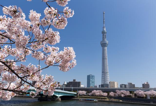 Skytree Tower (Tokyo)