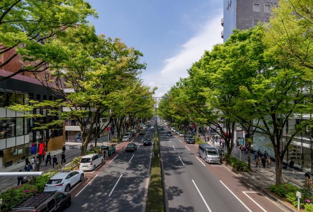 Avenida Ometosando (Tokyo)