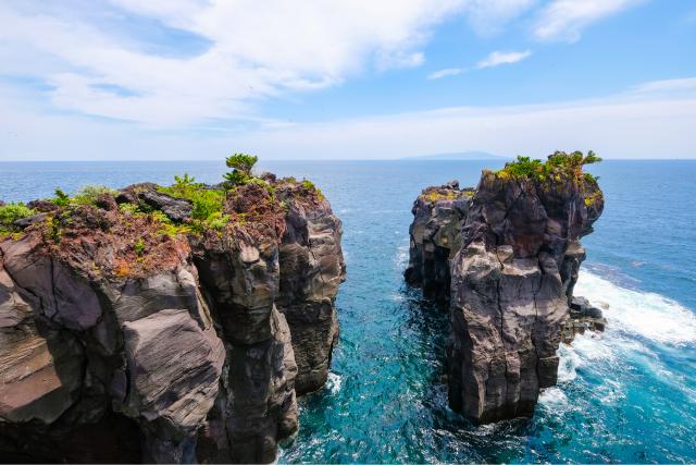 Costa de Jogasaki, península de Izu