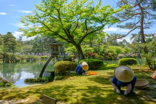 Jardín Kenrokuen (Kanazawa)