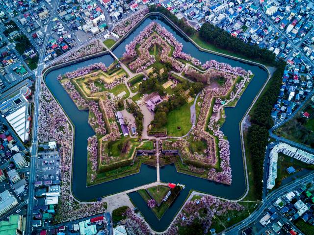 Castillo de Goryokaku (Hakodate)