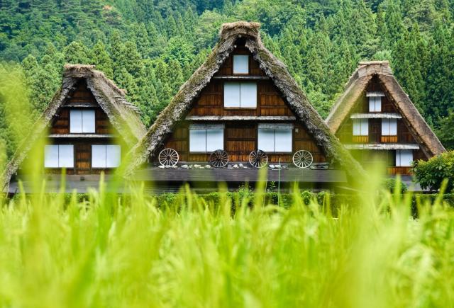 Granja tradicional (Shirakawa-go)