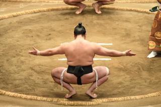 Entrenamiento de luchadores de sumo y almuerzo