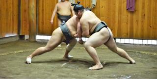 Entrenamiento de luchadores de sumo