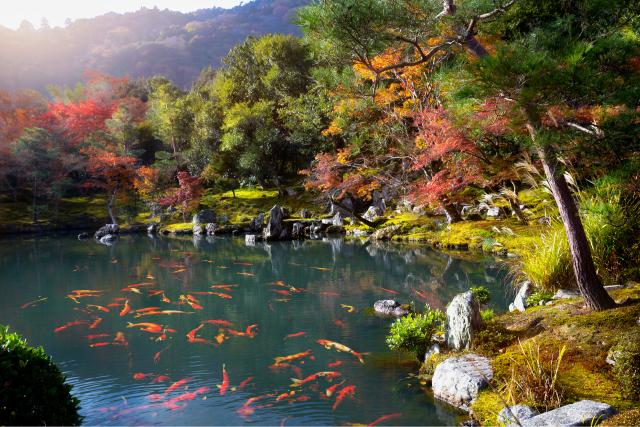 Templo Tenryu-ji (Arashiyama)