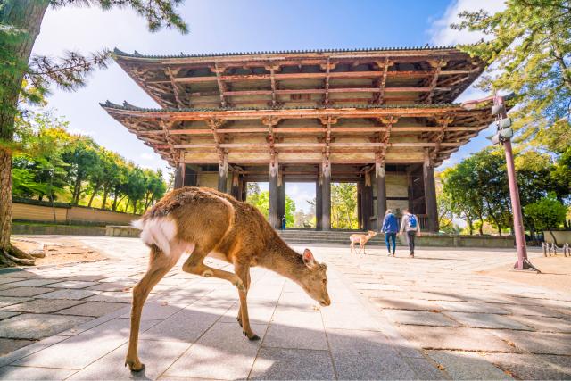 Templo Tōdai-ji (Nara)