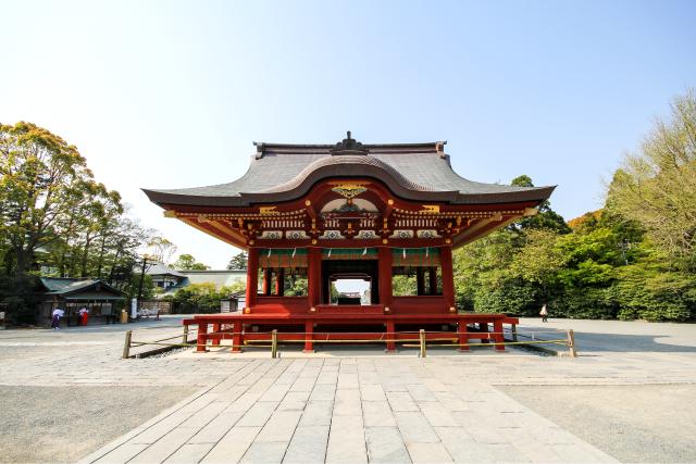 Santuario Tsurugaoka Hachimangu (Kamakura)