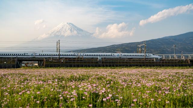 Tren shinkansen y monte Fuji
