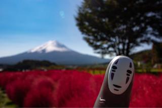 Museo Ghibli y recorrido en autobús