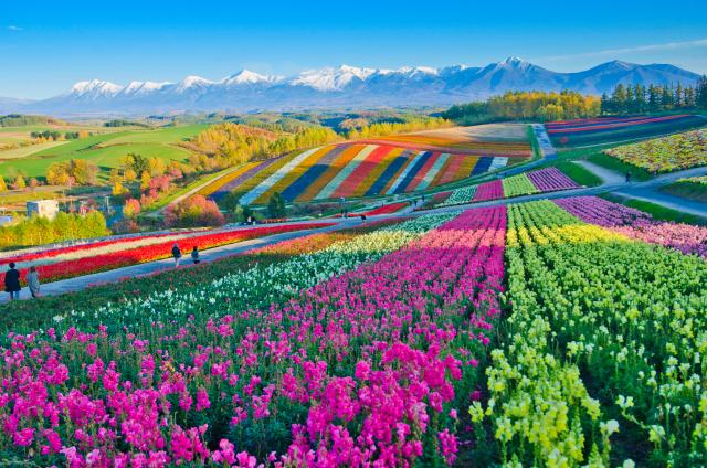 Hermosos paisajes de Hokkaido