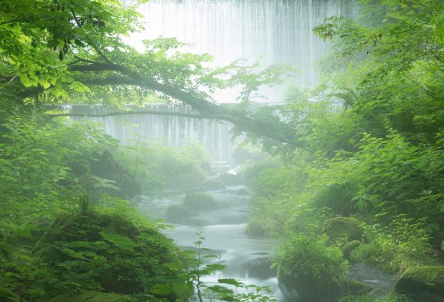 Arroyo Kitanisawa, Monte Daisen, Tottori