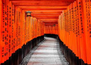 Santuario Fushimi Inari