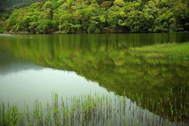 Estanque de Hirosawa