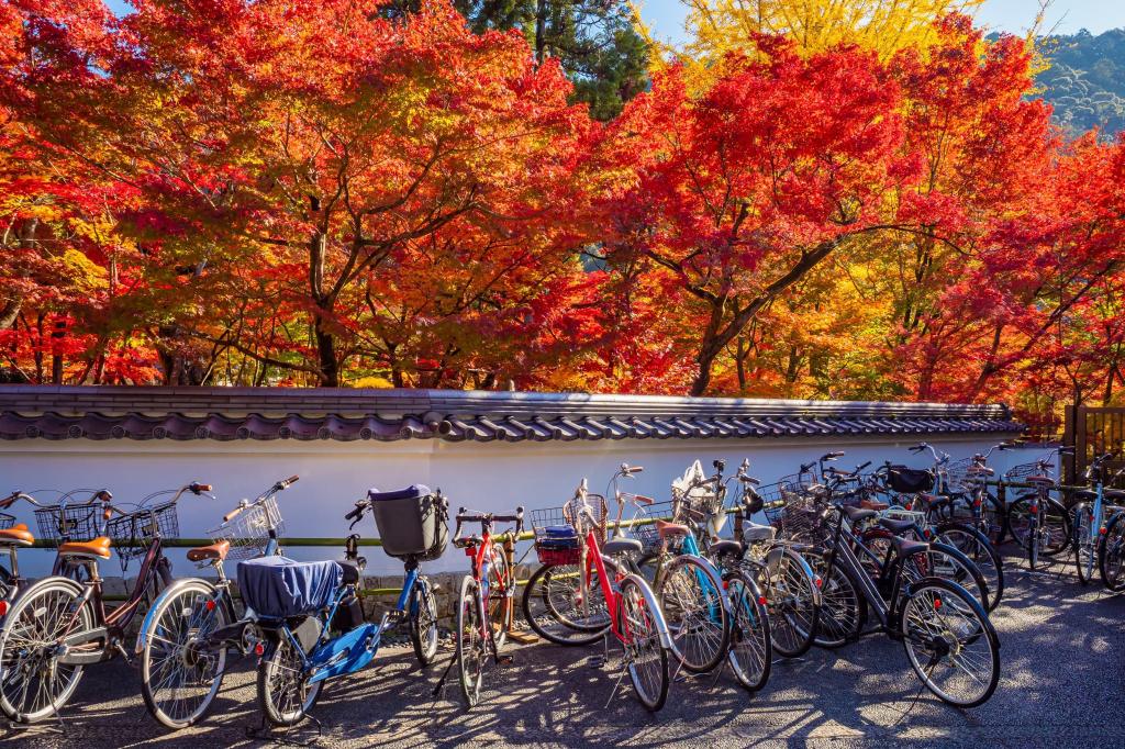 Bicicleta en Kioto