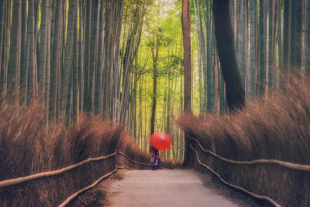 Arashiyama, Bosque de bambú