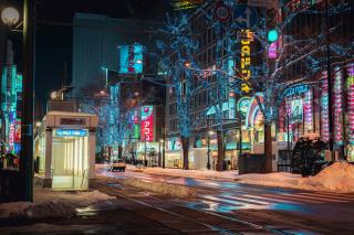 La ciudad de Sapporo de noche