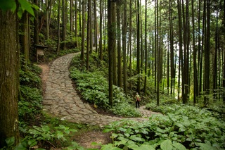 Sendero de Nakasendo