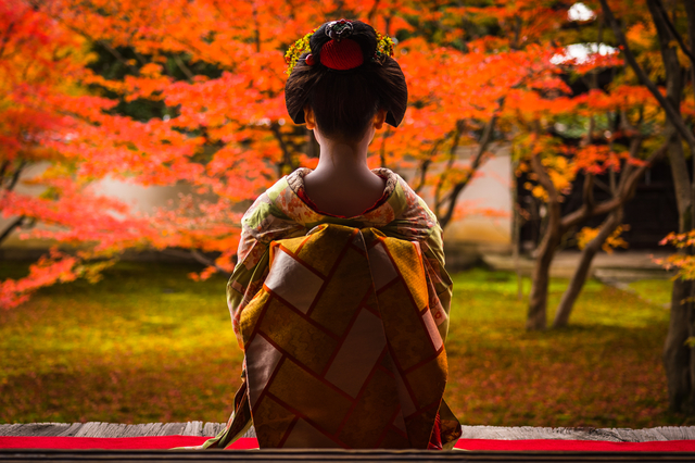 Cena con maiko (Kioto)
