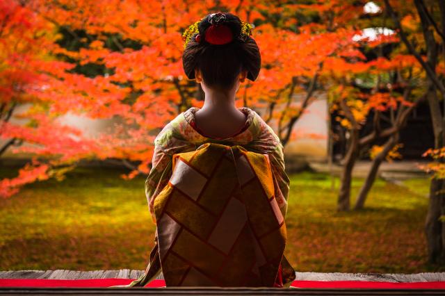Cena con maiko (Kioto)
